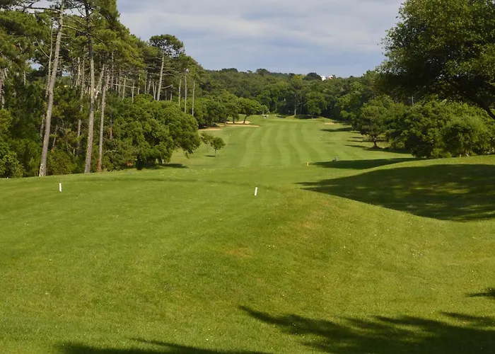 Osolemio * Moliets-et-Maa